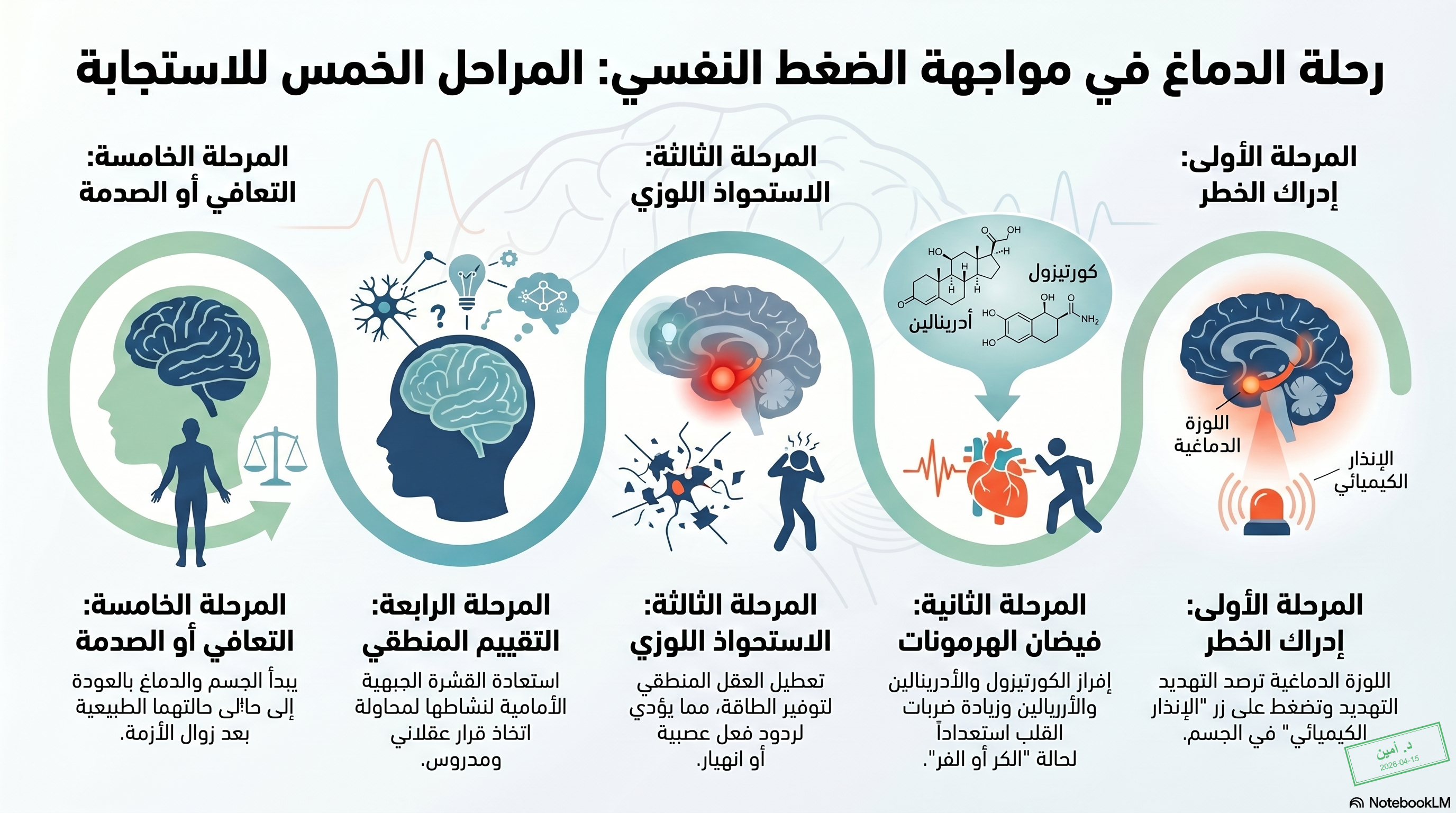 رحلة الدماغ في مواجهة الضغط النفسي